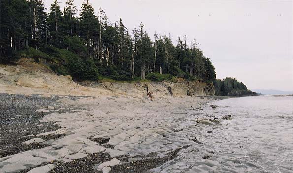 A white rock tidal shelf